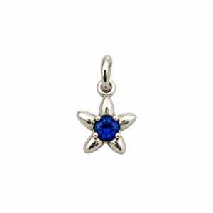 Pendentif charme étoile